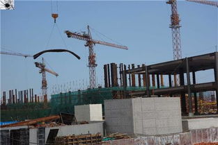 前海掃描映像 桂廟路主隧道開挖與月亮灣立交橋動工勘探同步推進